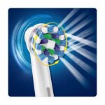 oral-b-D16-3