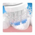 oral-b-D16-4
